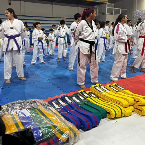 Senador Canedo apoia preparação da Seleção Goiana de Taekwondo para o Campeonato Centro-Oeste