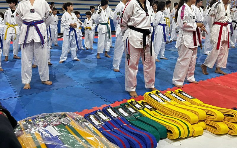 Senador Canedo apoia preparação da Seleção Goiana de Taekwondo para o Campeonato Centro-Oeste