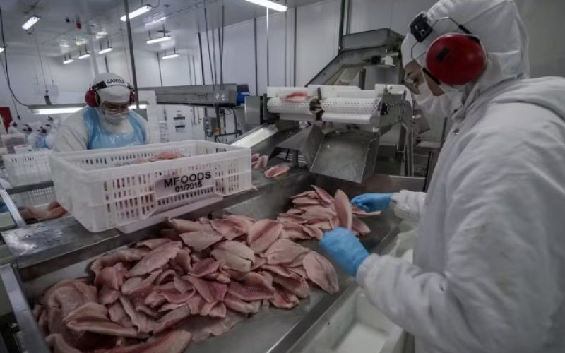 Governo inclui açaí, castanhas e pescados em lista de compras públicas após sobretaxa dos EUA