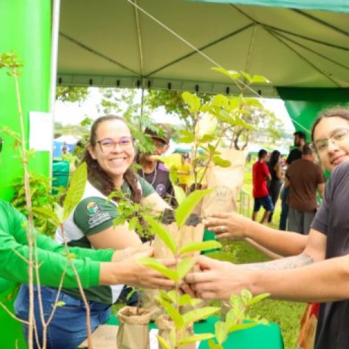 Senador Canedo Verde: AMMA intensifica doação de mudas e aproveita temporada de chuvas