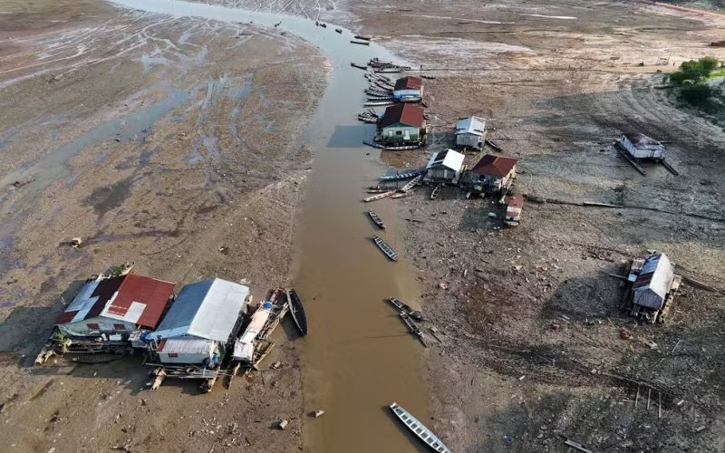 Desmatamento explica 75% da redução das chuvas na Amazônia desde 1985, aponta estudo