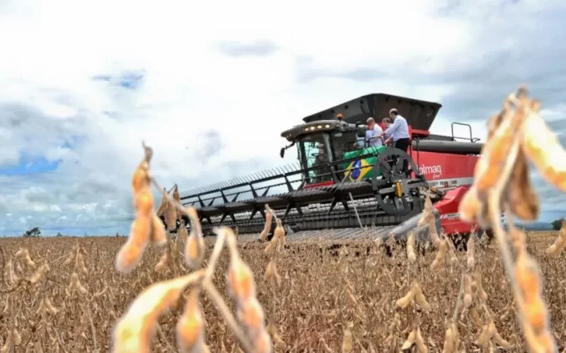 Goiás registra superávit de US$ 669 milhões na balança comercial em junho, puxado por exportações de soja e carnes