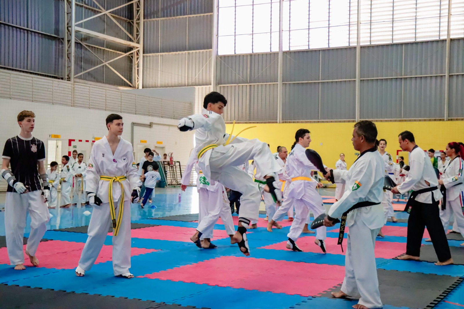 Senador Canedo sedia treino decisivo da seleção goiana de Taekwondo