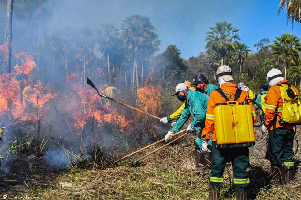 Governo propõe usar R$ 150 milhões do Fundo Amazônia para combater incêndios no Cerrado e Pantanal