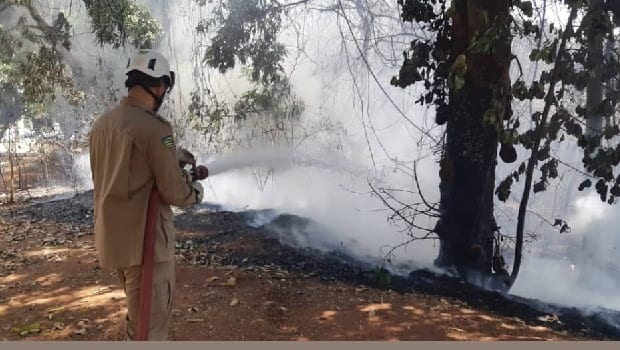Goiânia lança plano contra queimadas com brigada municipal e aplicativo para denúncias