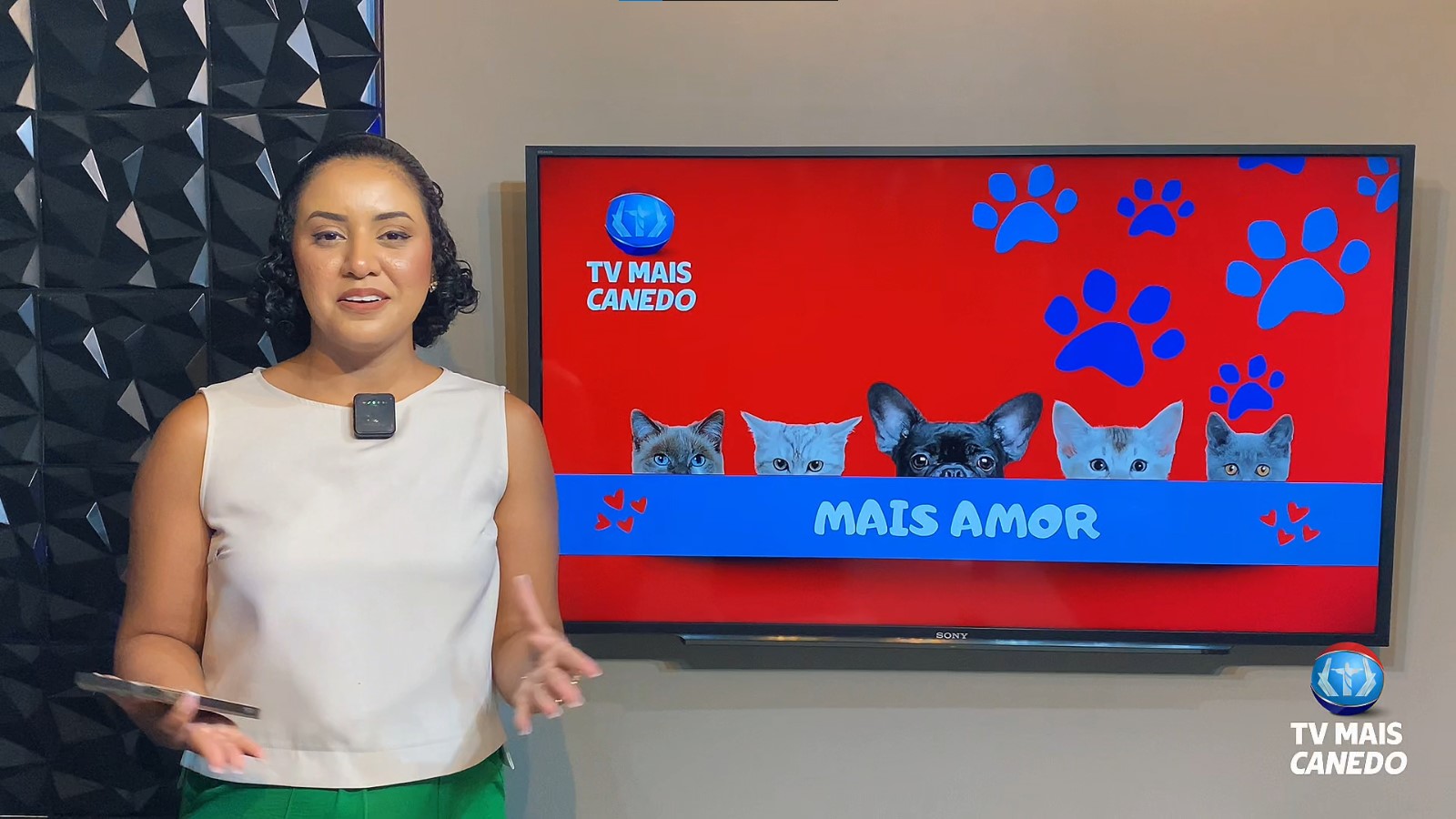 🐶❤💙Quadro Mais Amor – Adote um amiguinho.