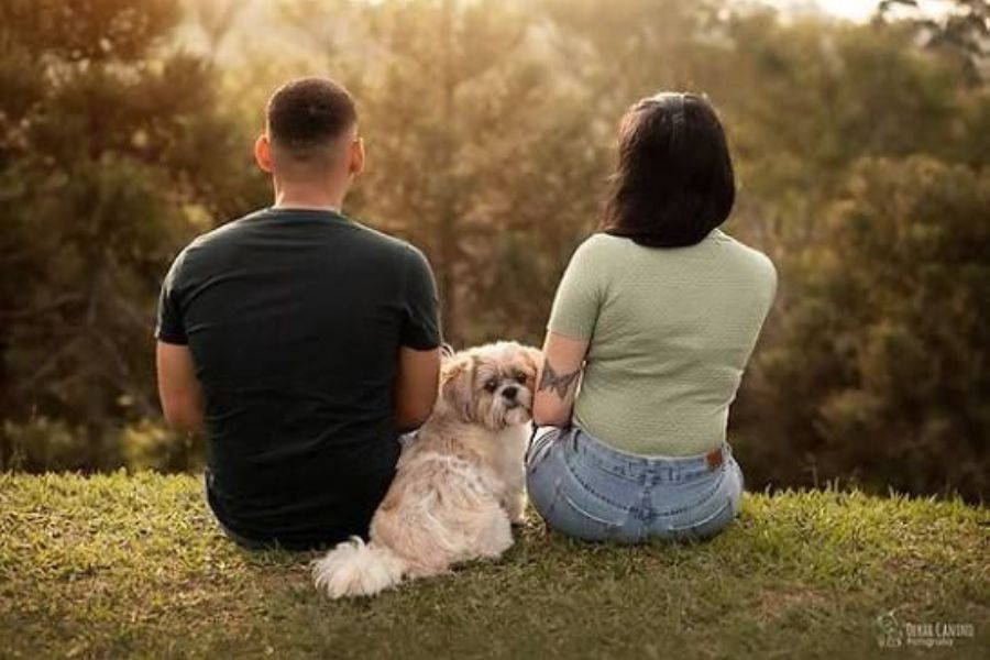 Divórcio com pets: Senado avança em proposta de guarda compartilhada e divisão de despesas