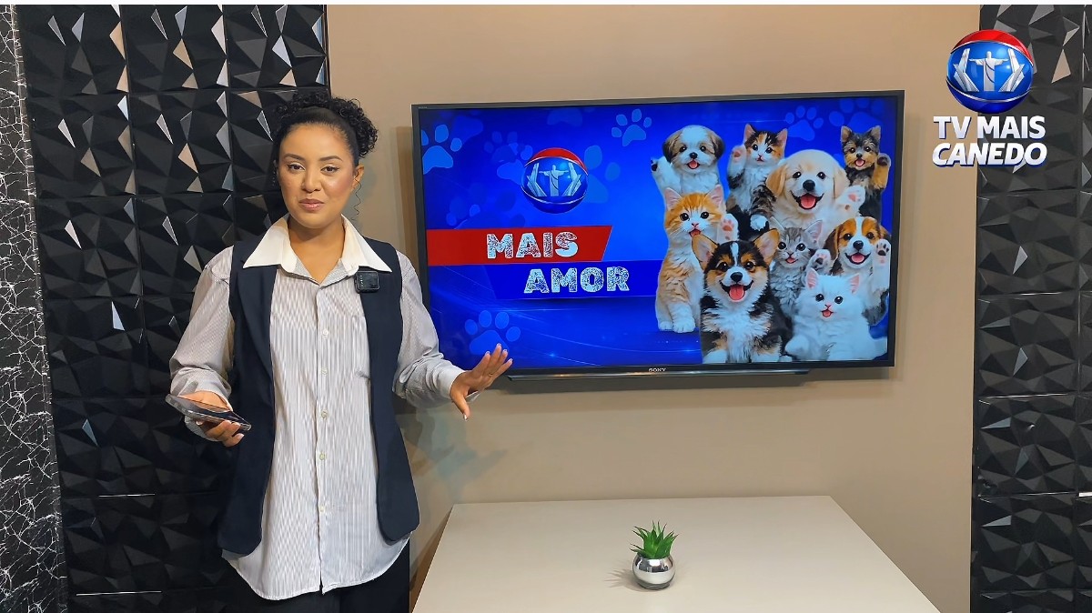 Quadro Mais Amor, adote um amiguinho!