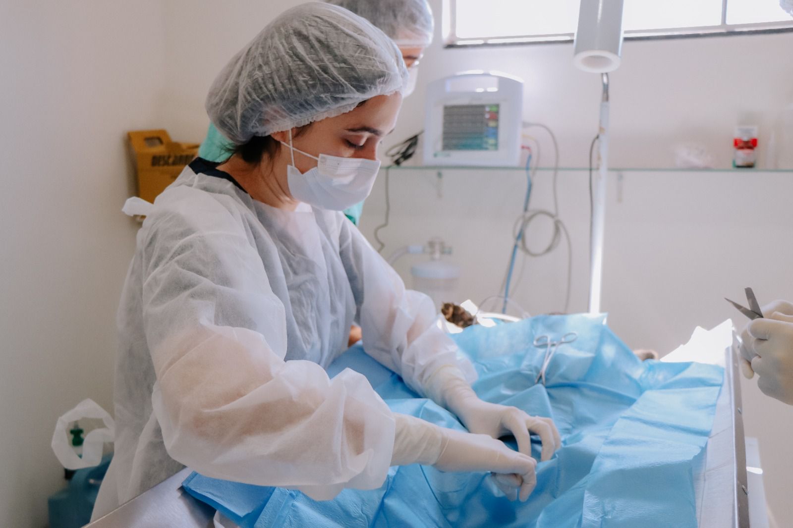 Senador Canedo já castrou 500 animais em 2026 e reforça política de proteção animal