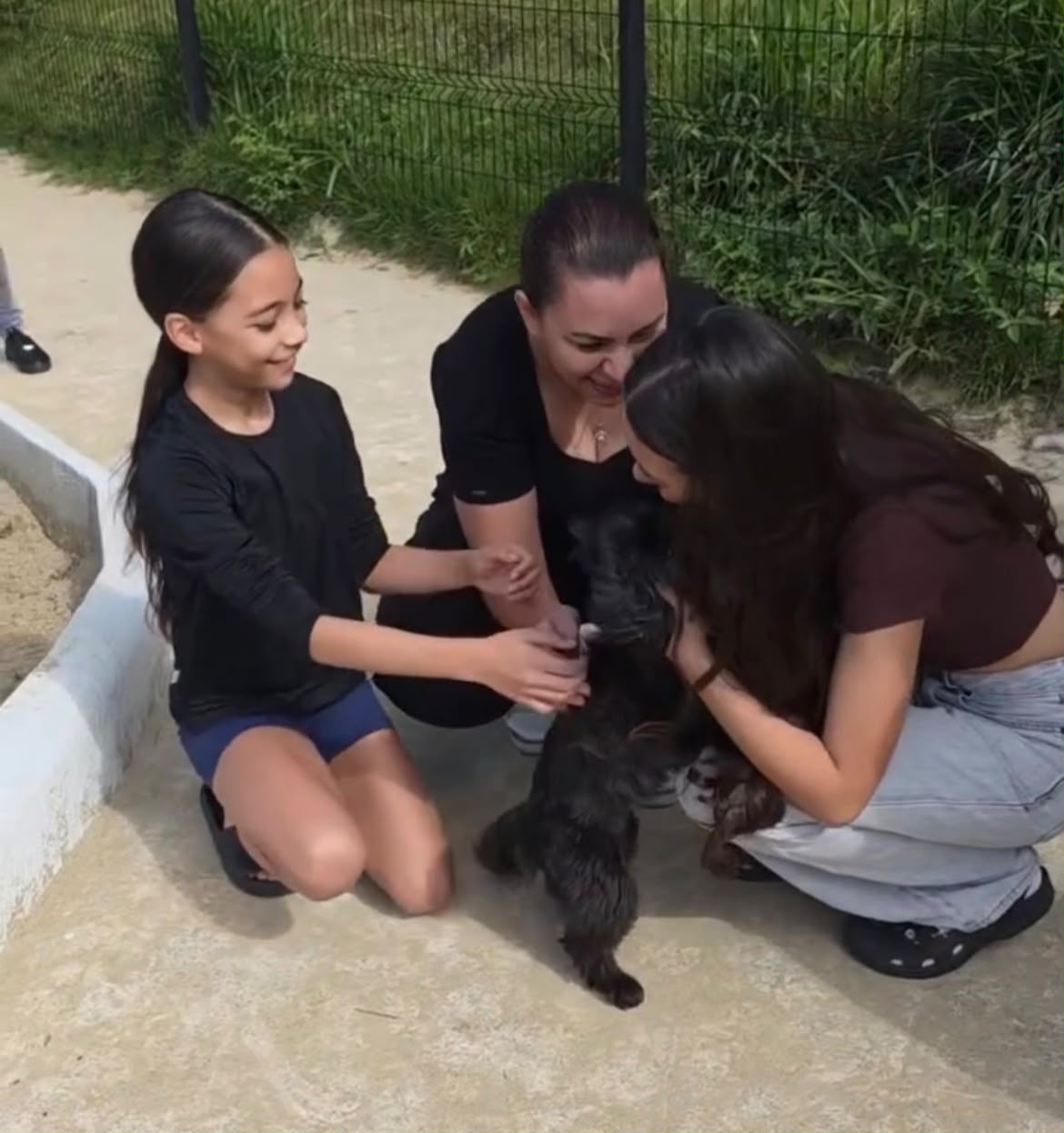 Cadela furtada há sete meses reencontra a família após vídeo de resgate viralizar