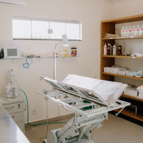 Senador Canedo registra alta adesão a programa de castração gratuita de cães e gatos