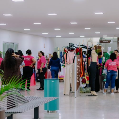 Feira Flores das Vilas leva empreendedorismo feminino de Senador Canedo à Alego em edição especial