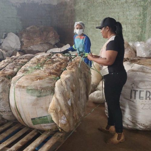 Catadores como protagonistas: cooperativas de reciclagem ganham força em Goiás, mas enfrentam desafios com apoio público e cultura da população