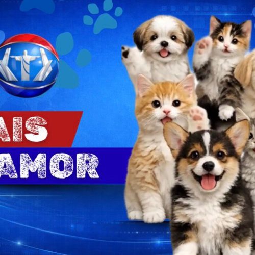 Quadro Mais Amor, adote um amiguinho!