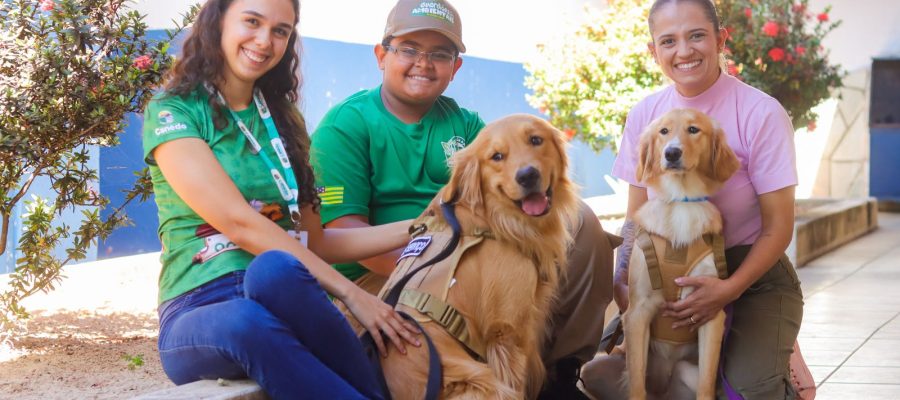 Cães terapeutas ensinam empatia e responsabilidade a alunos do projeto Guardiões Ambientais