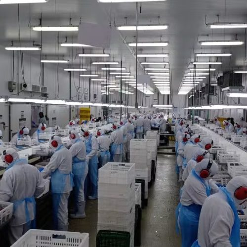 Preços dos alimentos caem no atacado após 10 meses e aliviam pressão sobre inflação