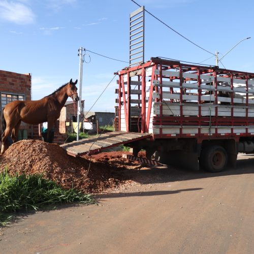 Prefeitura de Senador Canedo intensifica vigilância em zoonoses e reforça saúde pública
