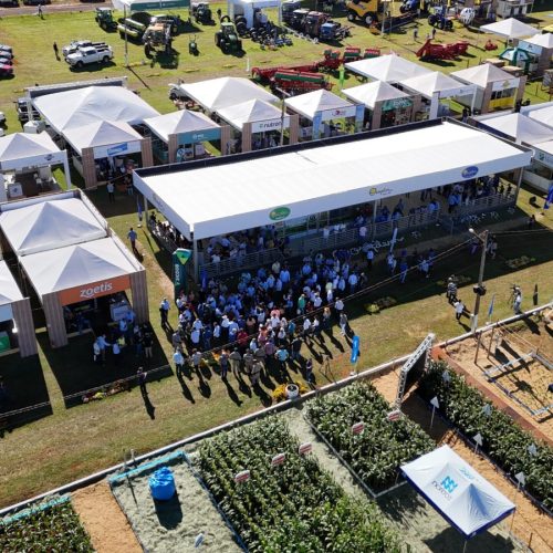 Feiras agropecuárias em Goiás devem movimentar mais de R$ 11 bilhões em 2025
