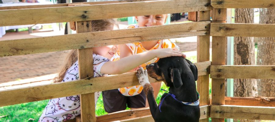 Evento de adoção e cuidados com pets movimenta Parque São Francisco neste domingo