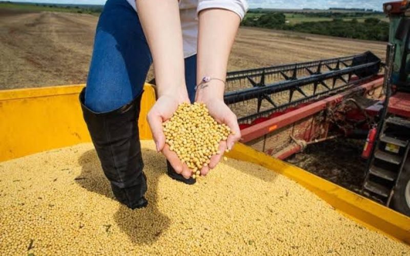 Agropecuária cresce mais de 20% e impulsiona economia de Goiás acima da média nacional