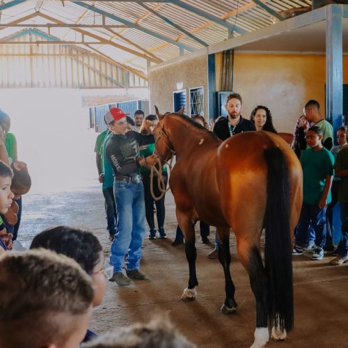Educação ambiental ganha reforço com visita de alunos a haras em Senador Canedo
