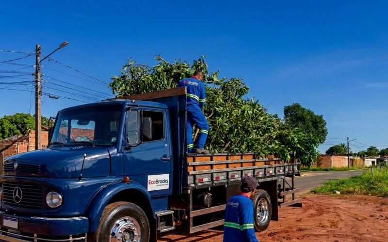 Ações de remoção de materiais intensificam limpeza urbana em Senador Canedo