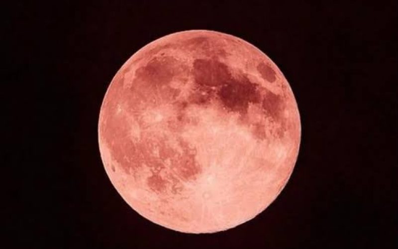“Lua de Morango” poderá ser observada em Goiás nesta segunda-feira