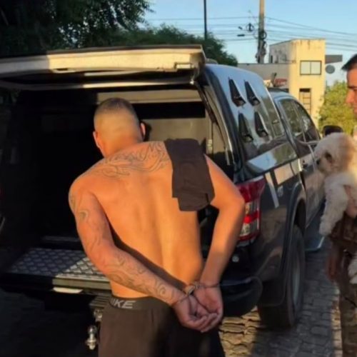 Cachorro permanece ao lado do tutor durante prisão e cena repercute nas redes sociais
