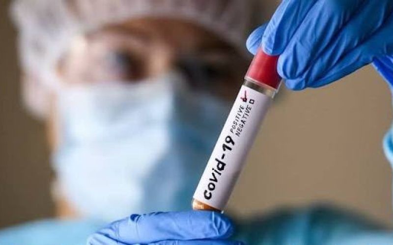 Novas investigações sobre a origem da Covid-19 reacendem debate nos EUA e no Brasil