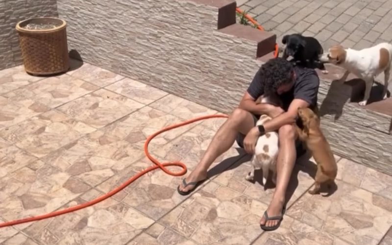 Homem passa mal durante crise de ansiedade, e reação dos cães comove a internet