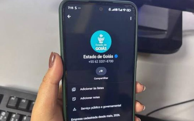 Agora dá para renovar a CNH e pedir identidade pelo WhatsApp em Goiás; veja como funciona