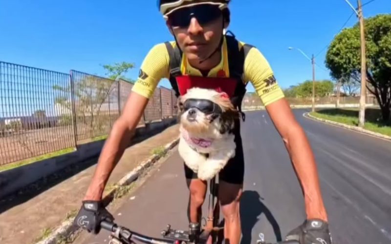 Bebel rouba a cena: ciclista transforma passeios de bike com seus cães em conteúdo que conquista as redes