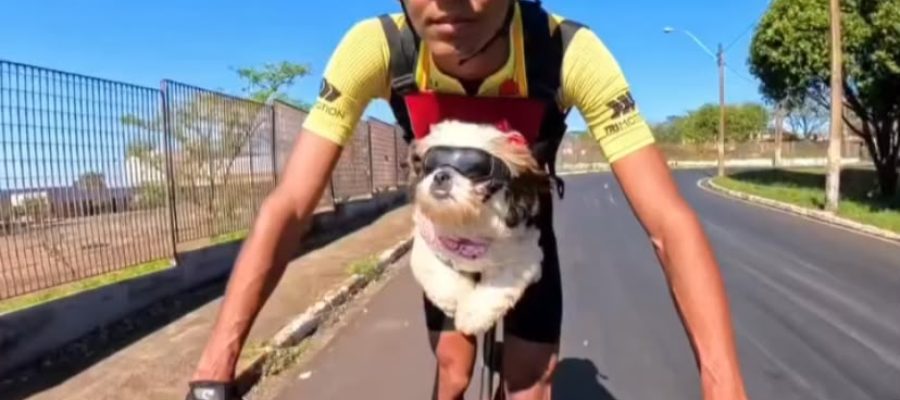 Bebel rouba a cena: ciclista transforma passeios de bike com seus cães em conteúdo que conquista as redes