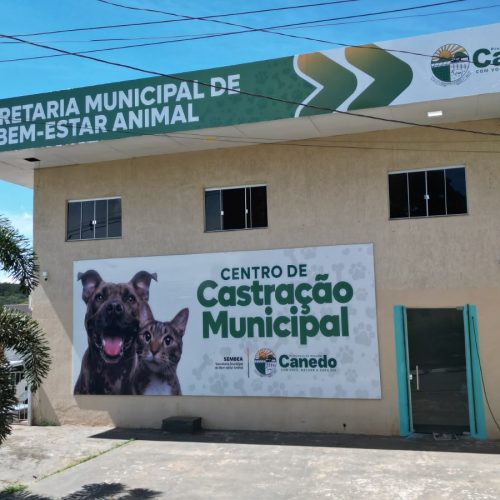 Senador Canedo bate recorde e já castrou mais animais em 2026 do que durante todo o ano passado