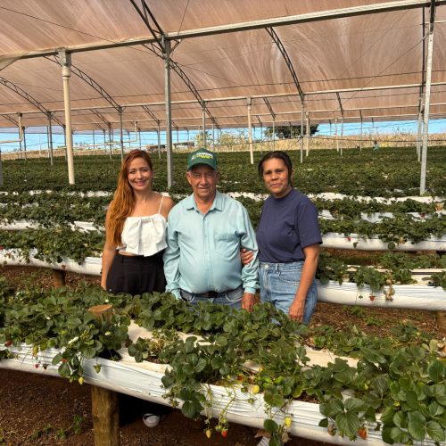 Da terra para a escola: Senador Canedo aproxima crianças dos alimentos produzidos pela agricultura familiar