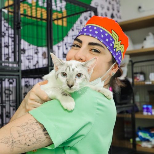 Senador Canedo ultrapassa 3,5 mil castrações gratuitas de cães e gatos