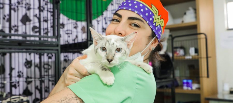 Senador Canedo ultrapassa 3,5 mil castrações gratuitas de cães e gatos