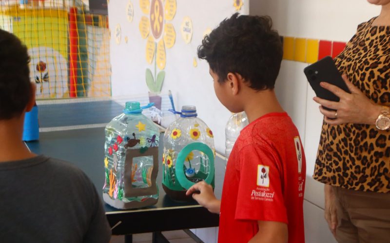 Reciclagem vira brincadeira e aprendizado na Associação Pestalozzi de Senador Canedo