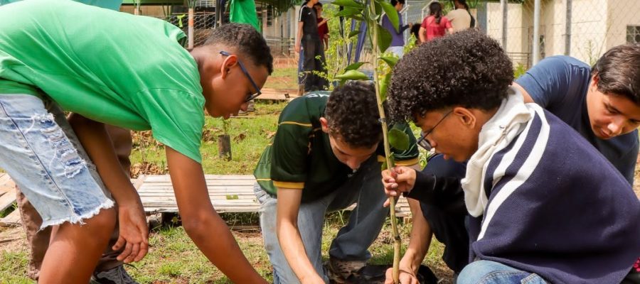 AMMA leva mais de 50 mudas e amplia área verde do IFG em Senador Canedo