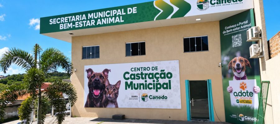 Senador Canedo chega a 1.900 animais castrados gratuitamente em 2026