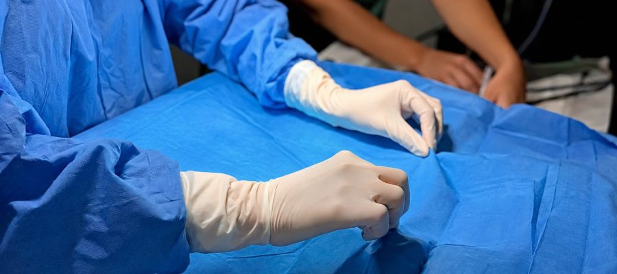 Castração segura exige cuidados antes, durante e depois da cirurgia