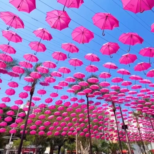 Goiânia ganha túnel de guarda-chuvas rosas para marcar o Outubro Rosa