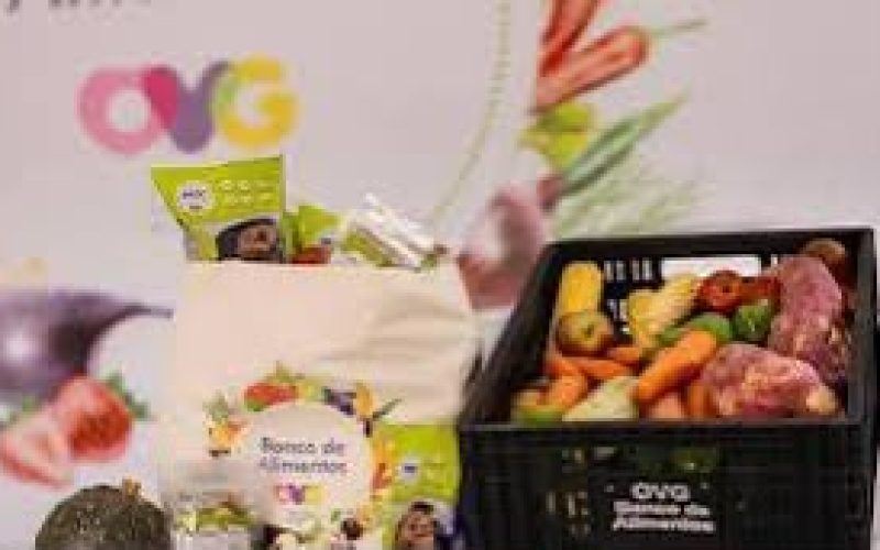 OVG cadastra famílias para receber alimentos semanalmente