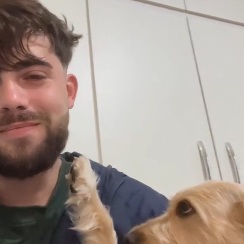 AMOR QUE TRANSBORDA! DOGUINHA ACARICIA ROSTO DO TUTOR COM A PATA E GANHA CHUVA DE BEIJOS