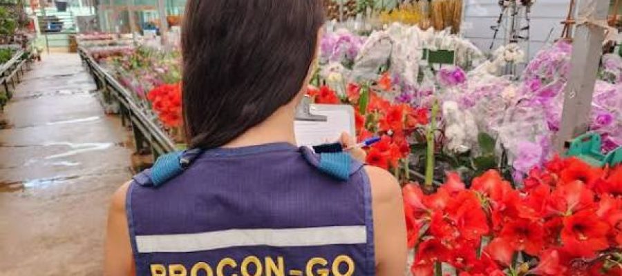 Preço de flores para Finados varia de R$ 8,50 a R$ 180 na Grande Goiânia e região , aponta pesquisa