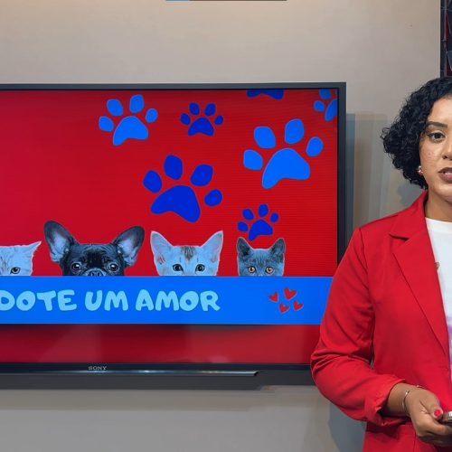 Quadro Mais Amor – Adote um amiguinho