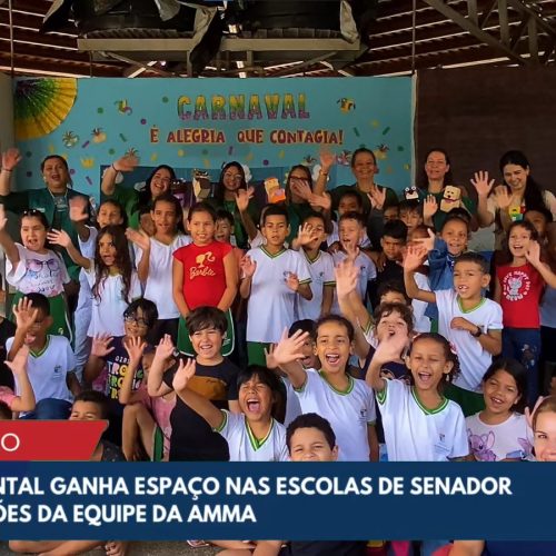 Projeto Vozes da Natureza promove consciência ambiental com teatro de fantoches em escola
