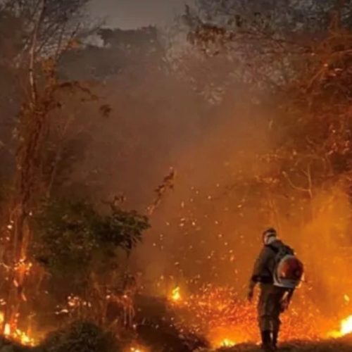 Queimadas já devastaram 5,6 mil km² em Goiás em 2025, área oito vezes maior que Goiânia