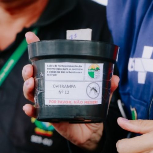 Senador Canedo intensifica combate à dengue com monitoramento de ovitrampas