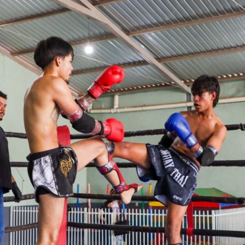 Senador Canedo sedia primeira edição do Campeonato de Muay Thai